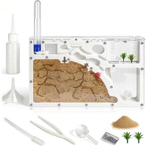 Ant Farm Castle, Yellow Sand Ant Habitat in Kuwait