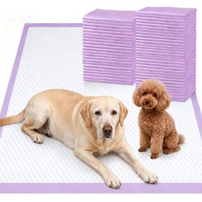 Gimars XL 6-Layer Ultra Absorbent 1200ml 48-Hour Leak-Proof Dog Pee Pads, Quick Dry Extra Large Puppy Pads for Puppy Training, Senior & Incontinent Dogs, Cats, Overnight Use, 28"x34", 30 Count in Saudi Arabia