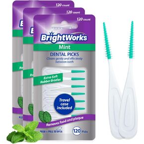 BrightWorks Mint Dental Picks, with Extra Soft Rubber Bristles, Clean Gently and Effectively Between Teeth, Travel Case Included, 3 Packs (64 Per Pack) in Kuwait