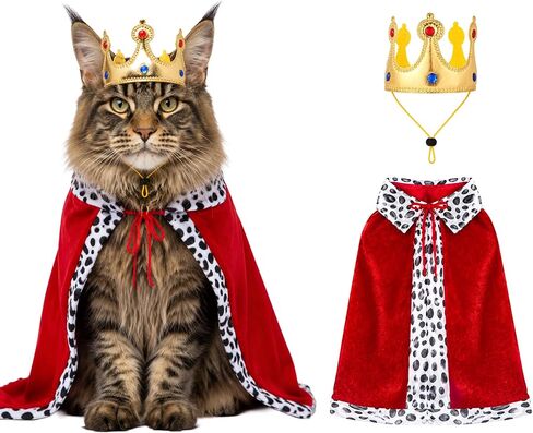 Cat Halloween Costumes Pet King Costume Red Cloak Golden Crown Set in Kuwait
