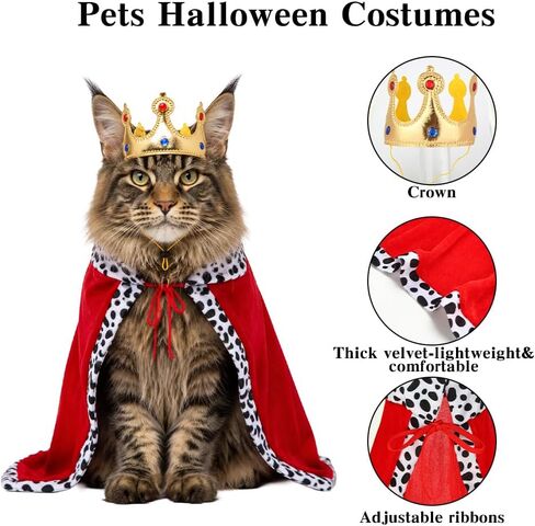 Cat Halloween Costumes Pet King Costume Red Cloak Golden Crown Set in Kuwait