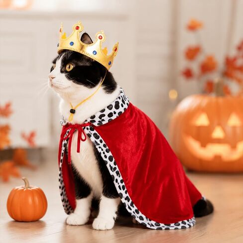 Cat Halloween Costumes Pet King Costume Red Cloak Golden Crown Set in Kuwait