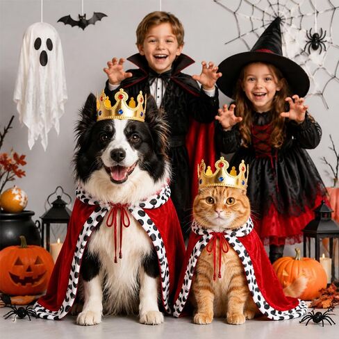 Cat Halloween Costumes Pet King Costume Red Cloak Golden Crown Set in Kuwait
