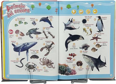 Spanish & English Bilingual Sound Book, Interactive Toddler Book in Saudi Arabia