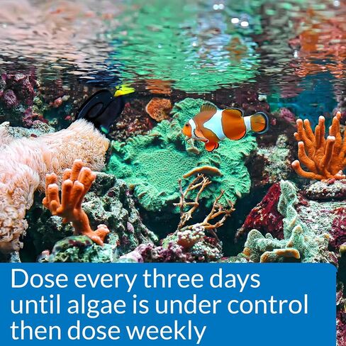 API MARINE ALGAEFIX Algae Control 16-Ounce Bottle in Kuwait