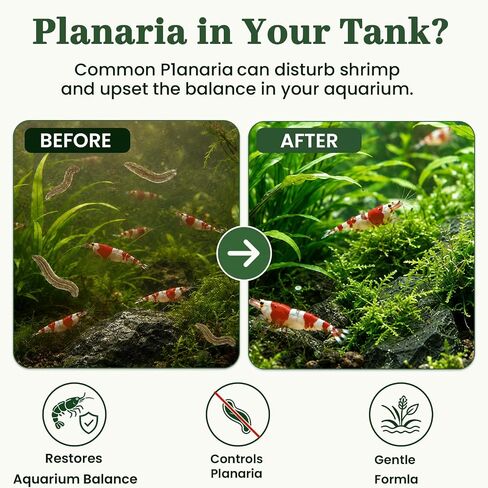 No Planaria & Hydra Support, Aquarium Balance Formula for Shrimp & Fish in Kuwait