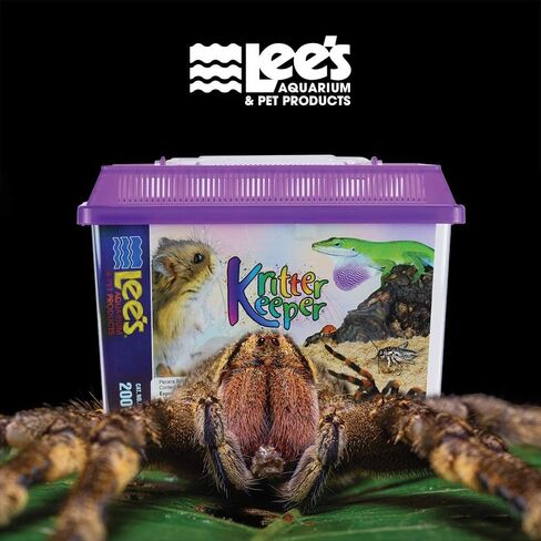 Lee's Kritter Keeper, Rectangle with Lid - Small, Assorted Colors in Kuwait