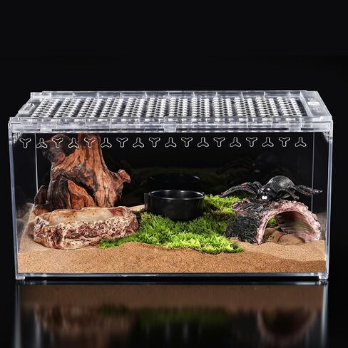 Reptile PC Tank Starter Kit Tarantula Enclosure Hermit Crab Habitat | 10.2" x 5.9" x 5.7" Spider Terrarium Full View for Isopods Bug Insect Frog Gecko Amphibians with Hide Cave Feeding Bowl in Saudi Arabia