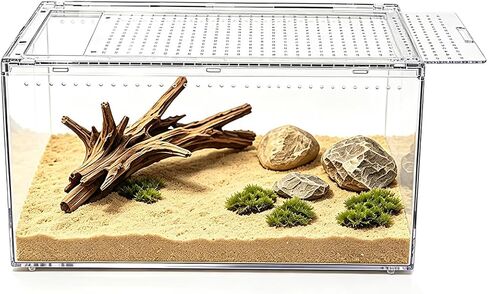 Reptile Growth Small Reptile Terrarium,Tarantula Enclosure with Magnetic Button, 8"x 6" x4" Lizard Enclosure,Reptile Breeding Tank,Spider Starter Cage,Frog Container. in Saudi Arabia