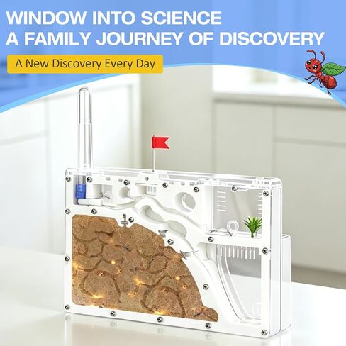 Ant Farm Castle, Yellow Sand Ant Habitat in Saudi Arabia