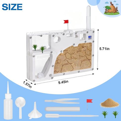 Ant Farm Castle, Yellow Sand Ant Habitat in Saudi Arabia