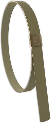 BAND-IT CP20S9 5/8 بوصة عرض × 0.025 بوصة سمك 5 بوصة قطر، 201 مشبك ثقب مركزي من الفولاذ المقاوم للصدأ (25 لكل صندوق) in Kuwait