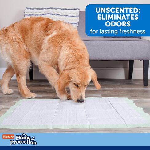 Hartz Home Protection Super Absorbent Odor Eliminating No Leaks Dog Pads, 50 Count in Saudi Arabia