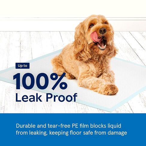 Puppy Pads Pet Pee Pads for Dogs & Puppy Training [100-COUNT] Potty Pads for Dogs 22" x 22" Leak-Proof Dog Pee Pads - Quick-Dry Surface - Heavy Duty Absorbent Disposable Dog Wee Pad Bulk Pack in Kuwait