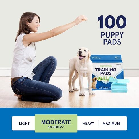 Puppy Pads Pet Pee Pads for Dogs & Puppy Training [100-COUNT] Potty Pads for Dogs 22" x 22" Leak-Proof Dog Pee Pads - Quick-Dry Surface - Heavy Duty Absorbent Disposable Dog Wee Pad Bulk Pack in Kuwait