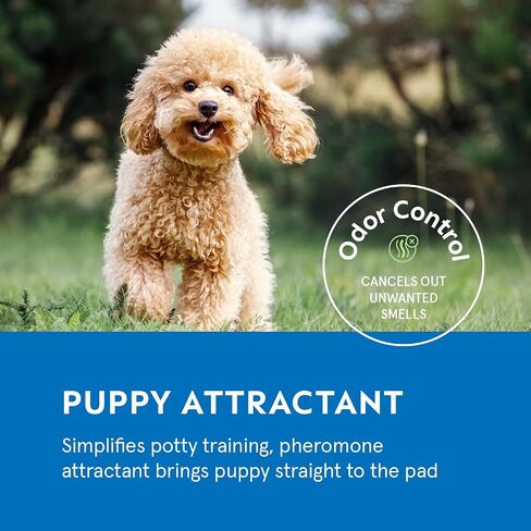 Puppy Pads Pet Pee Pads for Dogs & Puppy Training [100-COUNT] Potty Pads for Dogs 22" x 22" Leak-Proof Dog Pee Pads - Quick-Dry Surface - Heavy Duty Absorbent Disposable Dog Wee Pad Bulk Pack in Kuwait