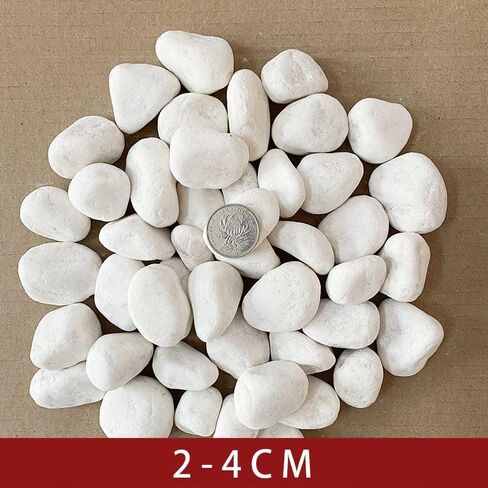 White Polished Pebbles for Plants, 4.4 LB Decorative River Rocks for Succulents and Cactus, Natural Gravel Stones for Flower Pots, Vases, Aquarium, Terrarium and Outdoor Garden Decor in Kuwait