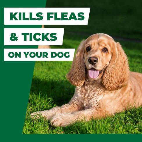Flea and Tick Prevention for Dogs, Flea and Tick Chews for Dogs, Imidacloprid 7.5 mg Soft Chews for Small Dogs 4–22 lbs, Fast-Acting Flea Treatment, Helps Kill Fleas, Flea Eggs,Ticks & Mites, 30 Count in Saudi Arabia