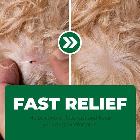 Flea and Tick Prevention for Dogs, Flea and Tick Chews for Dogs, Imidacloprid 7.5 mg Soft Chews for Small Dogs 4–22 lbs, Fast-Acting Flea Treatment, Helps Kill Fleas, Flea Eggs,Ticks & Mites, 30 Count in Saudi Arabia