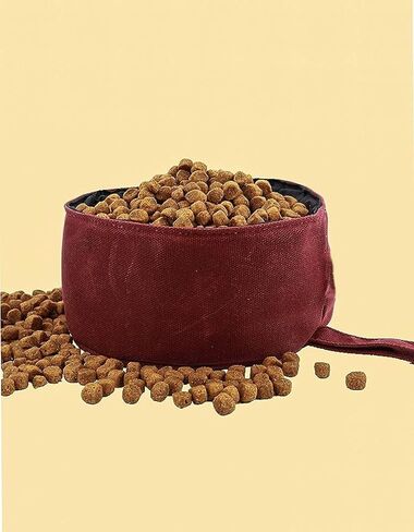 CALDO Collapsible Dog Bowl - Perfect for Food and Water on The Go (Burgundy) in Kuwait