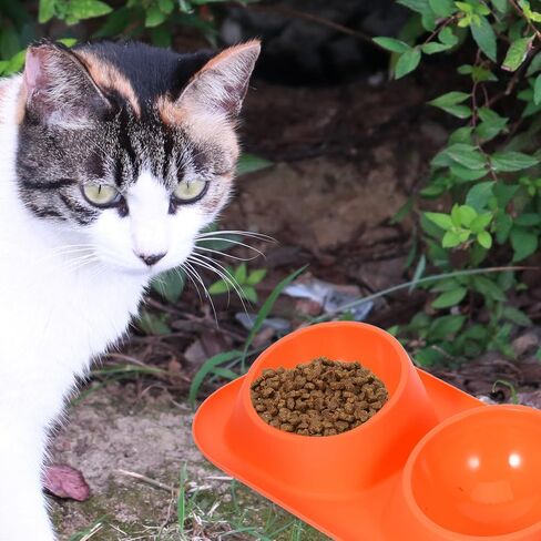 Double PET Food Bowls Plastic Cat Feeder with Non Slip Raised Stand in Saudi Arabia