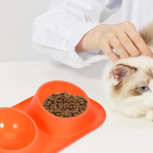 Double PET Food Bowls Plastic Cat Feeder with Non Slip Raised Stand in Saudi Arabia
