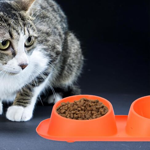 Double PET Food Bowls Plastic Cat Feeder with Non Slip Raised Stand in Saudi Arabia