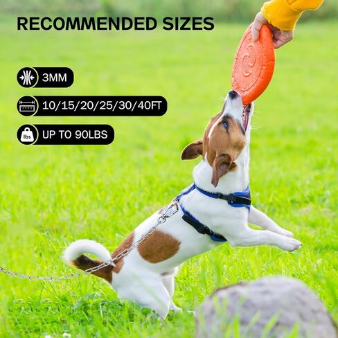 Heavy Duty Dog Chain for Yard-40FT Metal Dog Chain Leash Chew Proof,Long Dog Lead for Outside with Strong Swivel Hook,Outdoor Dog Runner for Camping,Dog Tie Out Cable for Small Medium Dog up to 90LBS in Kuwait