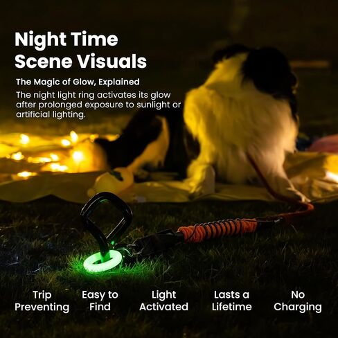Glow Dog Tie Out Cable and Stake & Shock-Absorbing Bungee Tether in Kuwait