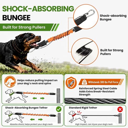 Glow Dog Tie Out Cable and Stake & Shock-Absorbing Bungee Tether in Kuwait