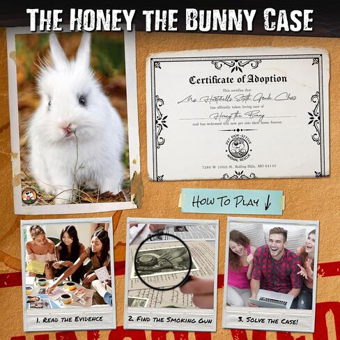UNSOLVED CASE FILES | Honey The Bunny - A Family-Friendly Mystery Case to Solve in Kuwait