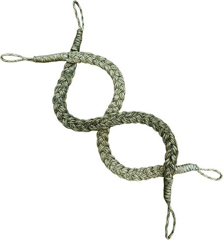 Snake Climbing Rope for Reptile Tank, 2 Pack with 4 Suction Cups in Kuwait