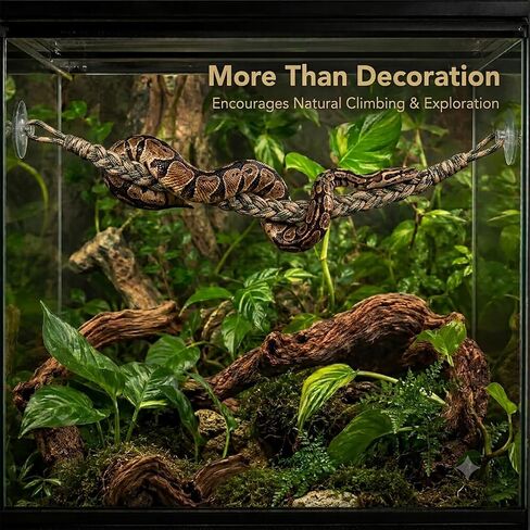 Snake Climbing Rope for Reptile Tank, 2 Pack with 4 Suction Cups in Kuwait