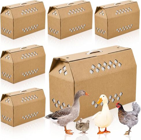6 Pack Cardboard Chicken Carrier with Ventilation Handle, White in Saudi Arabia