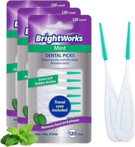 BrightWorks Mint Dental Picks, with Extra Soft Rubber Bristles, Clean Gently and Effectively Between Teeth, Travel Case Included, 3 Packs (64 Per Pack) in Kuwait