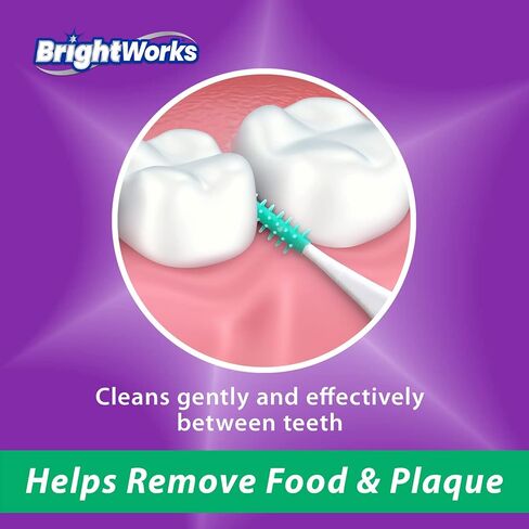 BrightWorks Mint Dental Picks, with Extra Soft Rubber Bristles, Clean Gently and Effectively Between Teeth, Travel Case Included, 3 Packs (64 Per Pack) in Kuwait