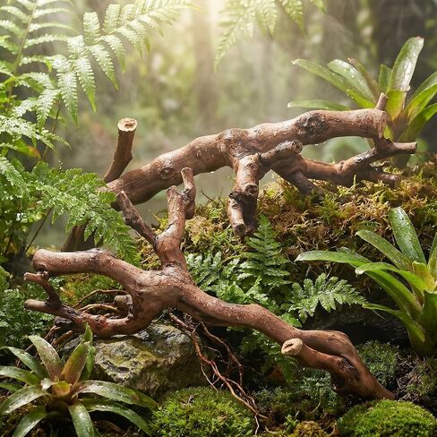 YARNOW 2pcs Branches for Reptiles: Reptile Wood Natural Branches - Bearded Dragon Tree Climbing Accessory Vivarium Habitat - Terrarium Tank Decor Accessories in Saudi Arabia