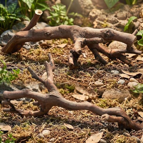 YARNOW 2pcs Branches for Reptiles: Reptile Wood Natural Branches - Bearded Dragon Tree Climbing Accessory Vivarium Habitat - Terrarium Tank Decor Accessories in Saudi Arabia