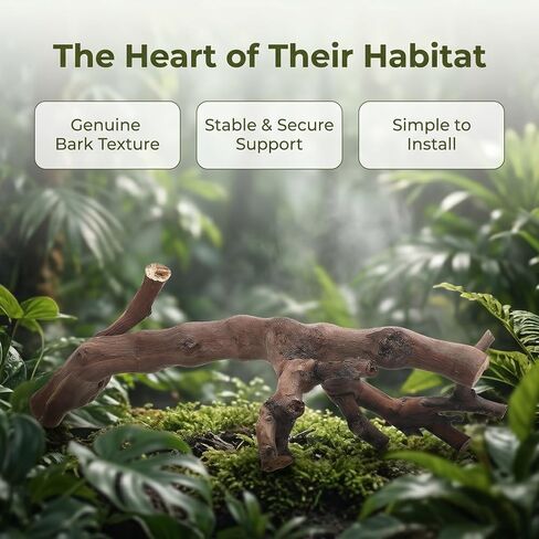 YARNOW 2pcs Branches for Reptiles: Reptile Wood Natural Branches - Bearded Dragon Tree Climbing Accessory Vivarium Habitat - Terrarium Tank Decor Accessories in Saudi Arabia