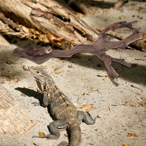 YARNOW 2pcs Branches for Reptiles: Reptile Wood Natural Branches - Bearded Dragon Tree Climbing Accessory Vivarium Habitat - Terrarium Tank Decor Accessories in Saudi Arabia