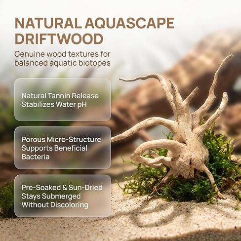 UKCOCO 6pcs Driftwood Pieces for Aquarium Aquascaping, 4-6" in Kuwait