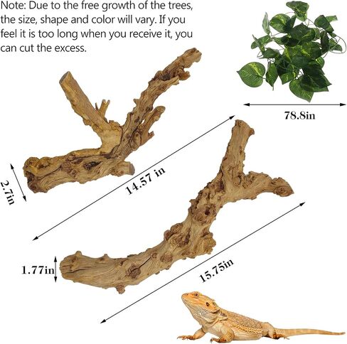 VCEPJH 2 Pack Reptile Wood Branches, Snake Climbing Branch and Reptile Climbing Bridge 59 in Long Bearded Dragon Wooden Ladder for Lizard Ball Pythons Tree Frog Snake Leopard Gecko in Kuwait