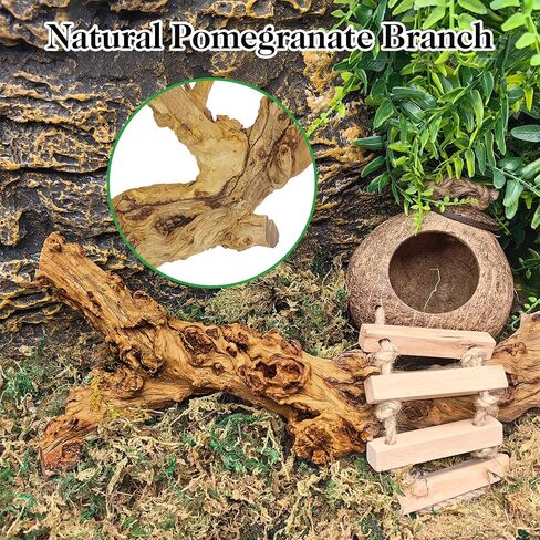 VCEPJH 2 Pack Reptile Wood Branches, Snake Climbing Branch and Reptile Climbing Bridge 59 in Long Bearded Dragon Wooden Ladder for Lizard Ball Pythons Tree Frog Snake Leopard Gecko in Kuwait