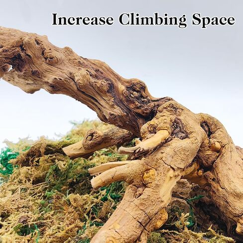 VCEPJH 2 Pack Reptile Wood Branches, Snake Climbing Branch and Reptile Climbing Bridge 59 in Long Bearded Dragon Wooden Ladder for Lizard Ball Pythons Tree Frog Snake Leopard Gecko in Kuwait
