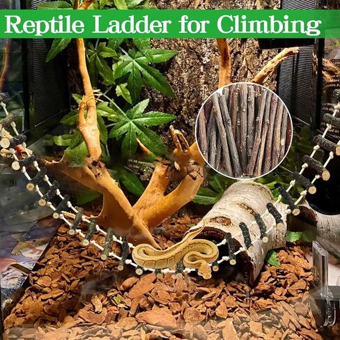 VCEPJH 2 Pack Reptile Wood Branches, Snake Climbing Branch and Reptile Climbing Bridge 59 in Long Bearded Dragon Wooden Ladder for Lizard Ball Pythons Tree Frog Snake Leopard Gecko in Kuwait