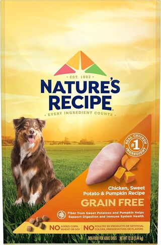Nature's Recipe Grain Free Chicken Dry Dog Food, 24 lb. Bag in Kuwait