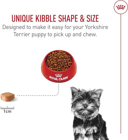 ROYAL CANIN Yorkshire Terrier Puppy Dry Dog Food, 2.5 lb Bag in Kuwait