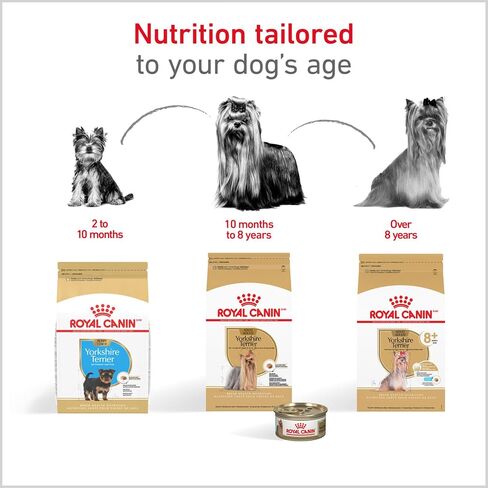 ROYAL CANIN Yorkshire Terrier Puppy Dry Dog Food, 2.5 lb Bag in Kuwait