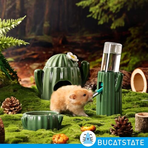 BUCATSTATE Cactus Ceramic Leakproof Hamster Water Bottle Gerbils Water Bottles with Holder Water Feeder for Small Animals (Green) in Kuwait