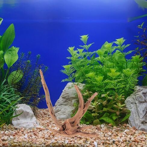 VICASKY 3pcs Natural Spider Wood Driftwood and Reptile Enclosures in Saudi Arabia